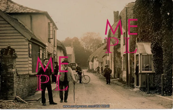 : The Village : The Village