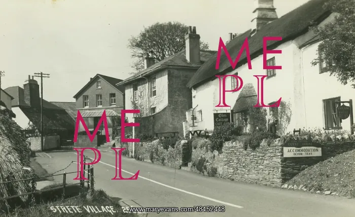 : The Village : The Village