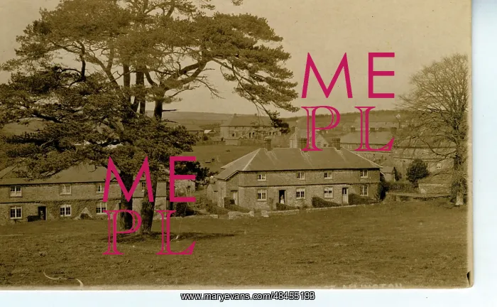 : The Village : The Village