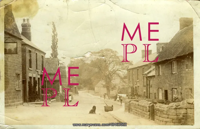  : The Village