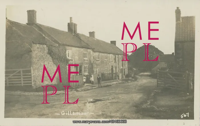 : The Village : The Village