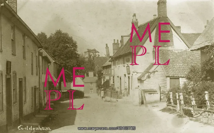  : The Village
