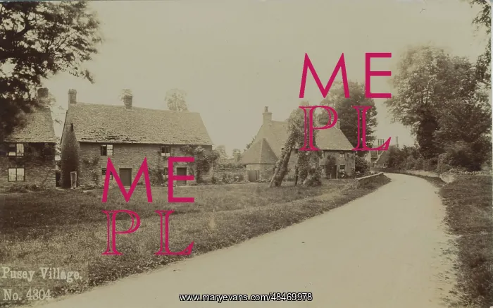  : The Village