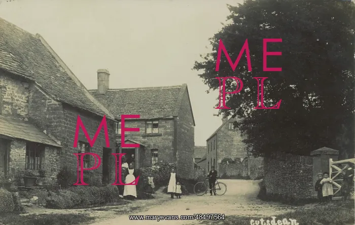 : The Village : The Village