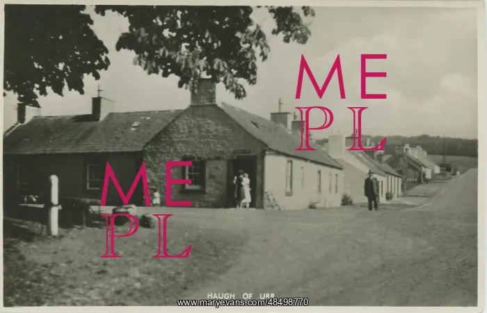 : The Village : The Village