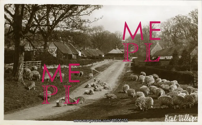 : The Village : The Village