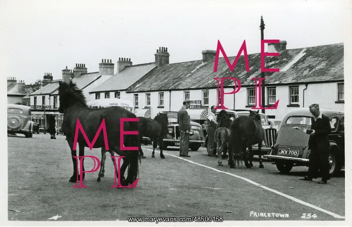  : The Village