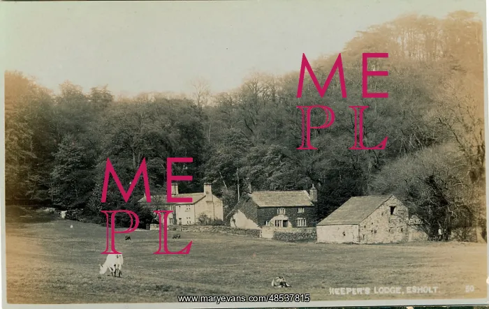  : The Village