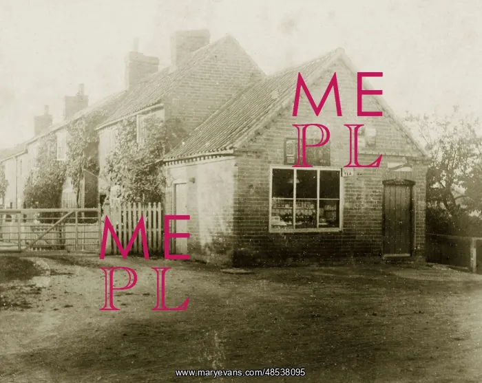  : The Village