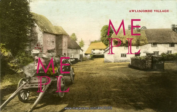  : The Village, Awliscombe