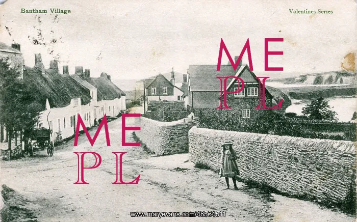 : The Village, Bantham, Devon : The Village, Bantham, Devon