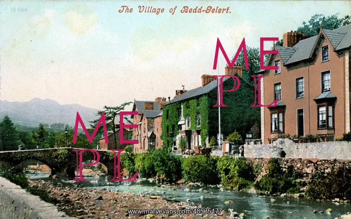 : The Village, Beddgelert, Caernarvonshire : The Village, Beddgelert, Caernarvonshire