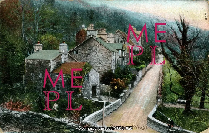 : The Village, Bontddu, Cardiganshire : The Village, Bontddu, Cardiganshire