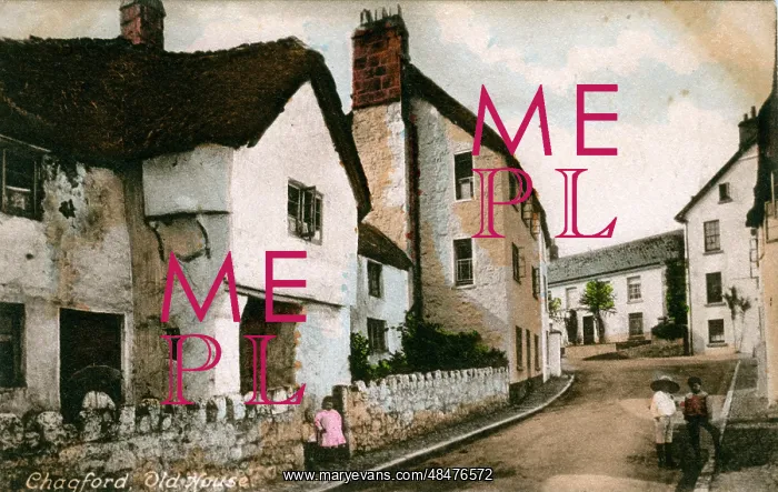: The Village, Chagford, England : The Village, Chagford, England