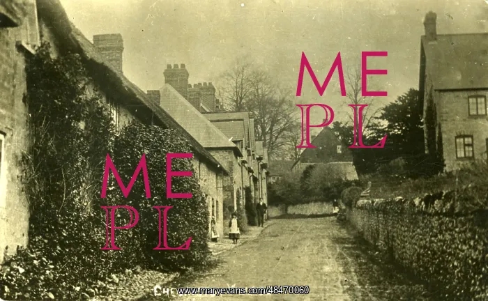  : The Village, Chedington