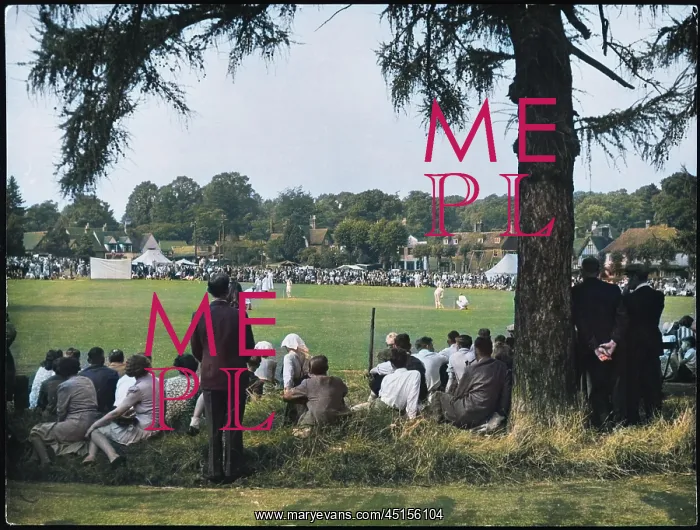 : VILLAGE CRICKET MATCH : VILLAGE CRICKET MATCH