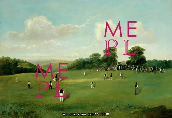 : The Village Cricket Match, Hambleden : The Village Cricket Match, Hambleden