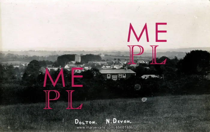 : The Village, Dolton, Devon : The Village, Dolton, Devon