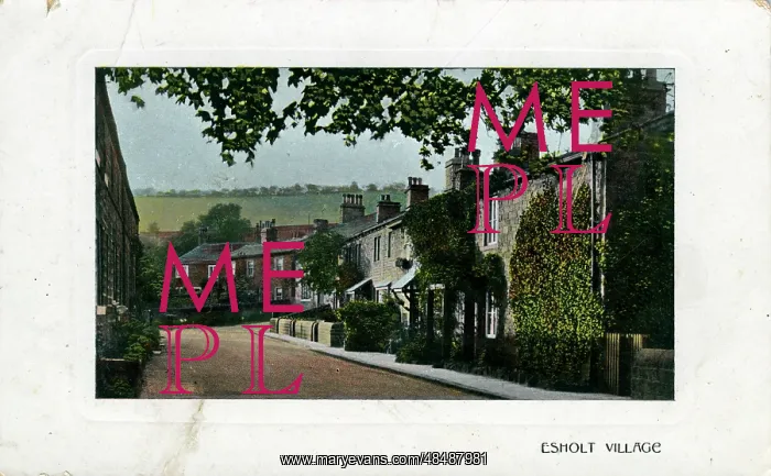 : The Village, Esholt, Yorkshire : The Village, Esholt, Yorkshire