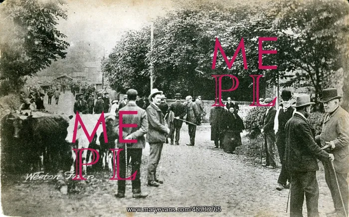 : The Village Fair, Weeton, Lancashire : The Village Fair, Weeton, Lancashire