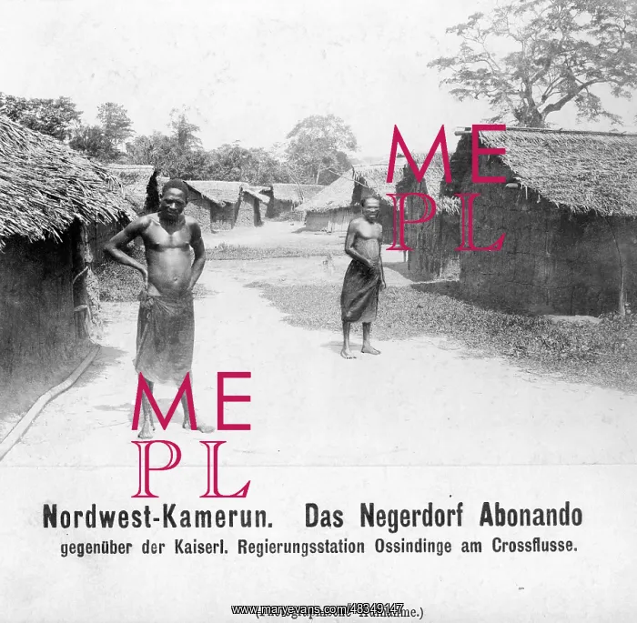 : Village in the German colony of Cameroon, 1904 : Village in the German colony of Cameroon, 1904