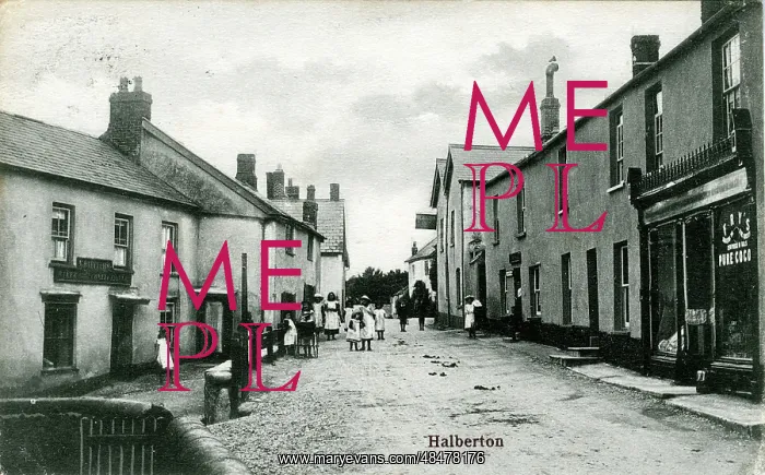 : The Village, Halberton, Devon : The Village, Halberton, Devon