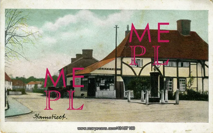 : The Village, Hamstreet, Kent : The Village, Hamstreet, Kent