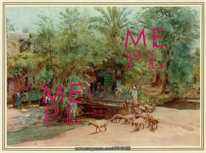  : Village of Marg - Egypt