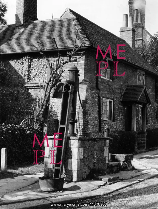 : VILLAGE PUMP : VILLAGE PUMP