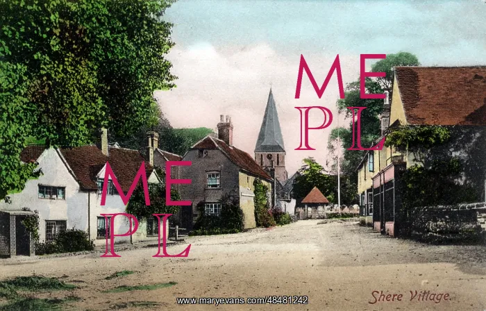 : The Village, Shere, Surrey : The Village, Shere, Surrey