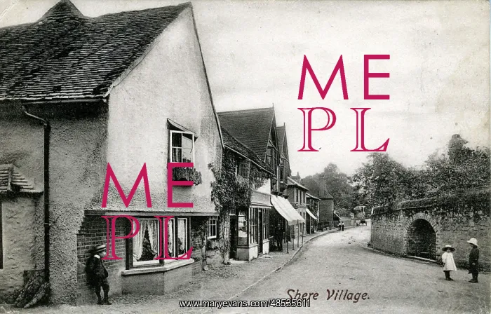 : The Village, Shere, Surrey : The Village, Shere, Surrey