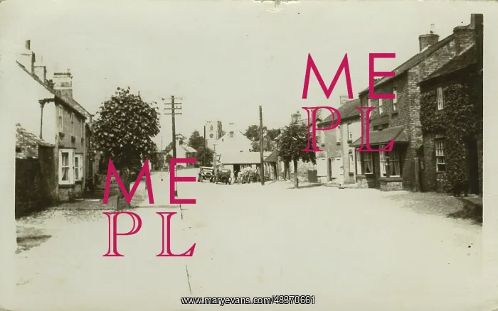 : The Village - (Showing the George Inn) : The Village - (Showing the George Inn)