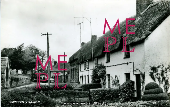 : The Village, Sowton, Devon : The Village, Sowton, Devon