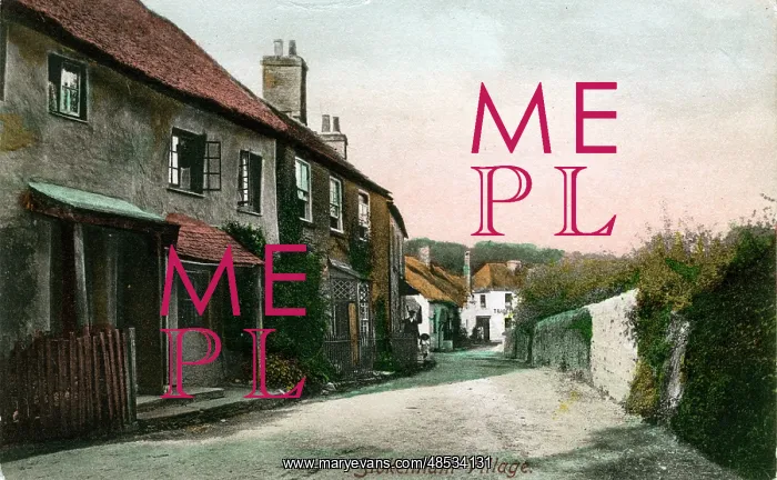 : The Village, Stokenham, Devon : The Village, Stokenham, Devon