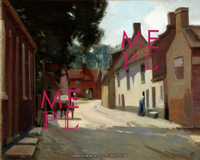 : The Village Street : The Village Street