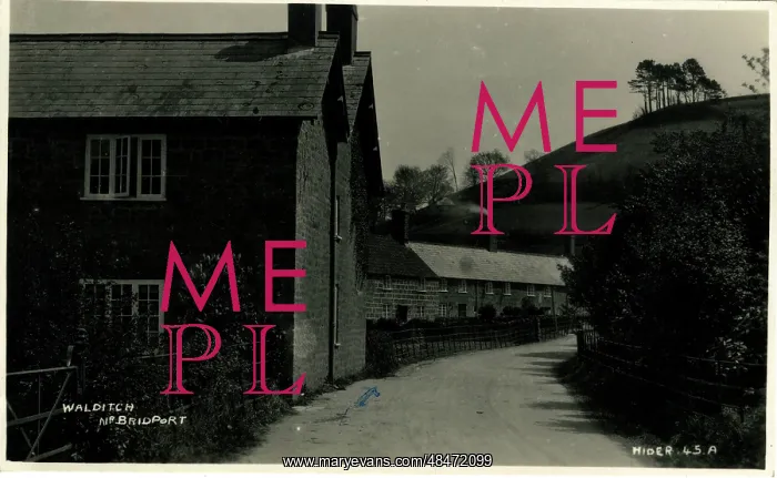 : The Village, Walditch, Bridport, England : The Village, Walditch, Bridport, England