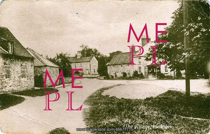 : The Village, Welburn, Yorkshire : The Village, Welburn, Yorkshire