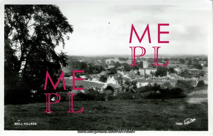 : The Village, Well, Bedale, England : The Village, Well, Bedale, England