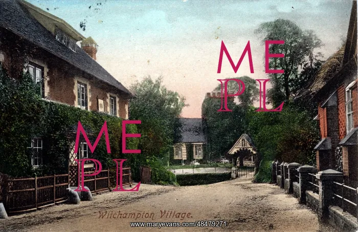 : The Village, Witchampton, Dorset : The Village, Witchampton, Dorset