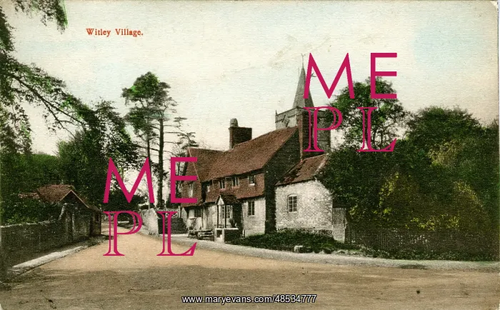 : The Village, Witley, Surrey : The Village, Witley, Surrey