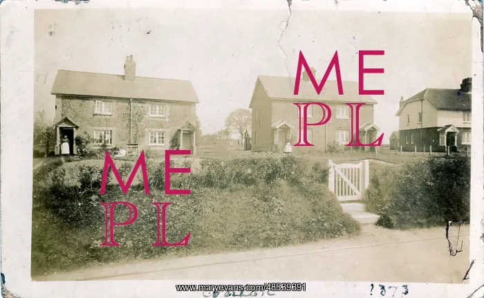 : The Village, Wonston, Hampshire : The Village, Wonston, Hampshire