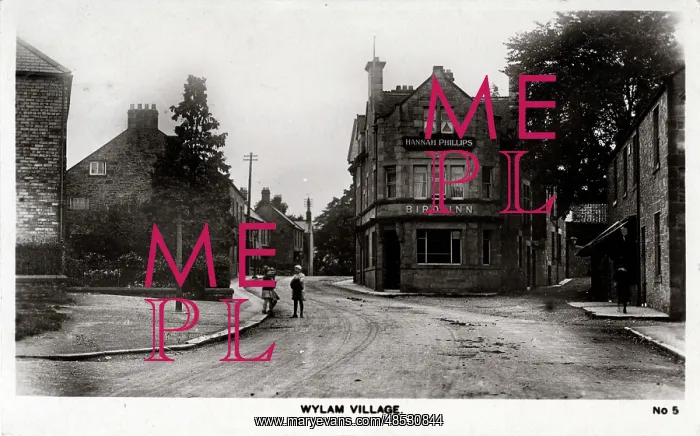 : The Village, Wylam, England : The Village, Wylam, England