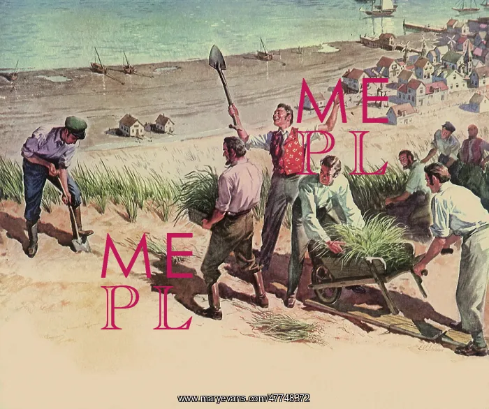 : Villagers plant Grass at Provincetown, Cape Cod : Villagers plant Grass at Provincetown, Cape Cod