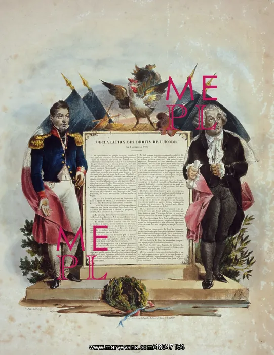 : Villain. Declaration of the Rights : Villain. Declaration of the Rights