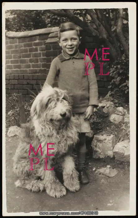 : VINCENT FREDERICK & DOG : VINCENT FREDERICK & DOG