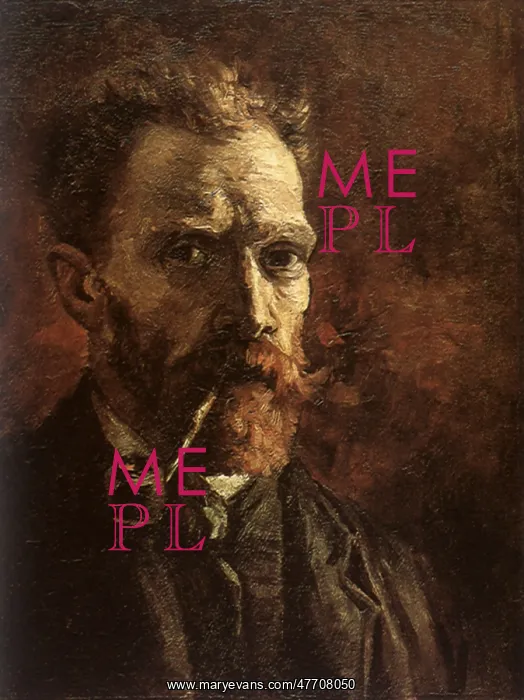  : Vincent van Gogh, self-portrait