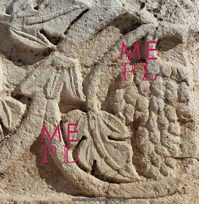 : Vine leaf carving, Jerash, Jordan : Vine leaf carving, Jerash, Jordan