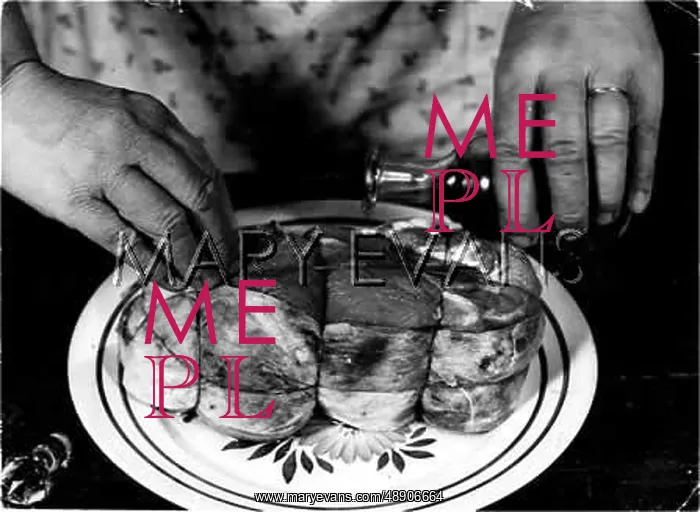 : VINEGAR PRESERVES MEAT : VINEGAR PRESERVES MEAT