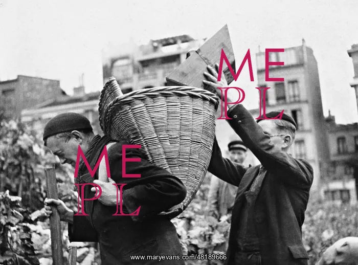 : Vineyard on Montmartre, 1941 : Vineyard on Montmartre, 1941