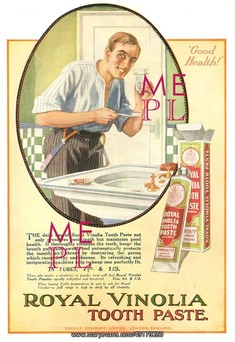 : Vinolia Company Toothpaste Advertisement : Vinolia Company Toothpaste Advertisement